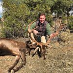 Stag hunt in Spain. Deer hunting