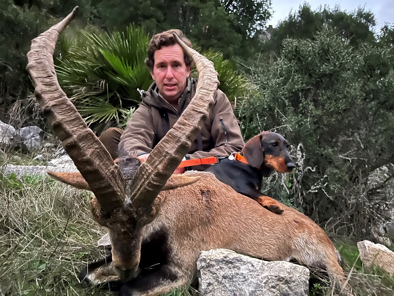 hunting-in-spain-ronda-ibex