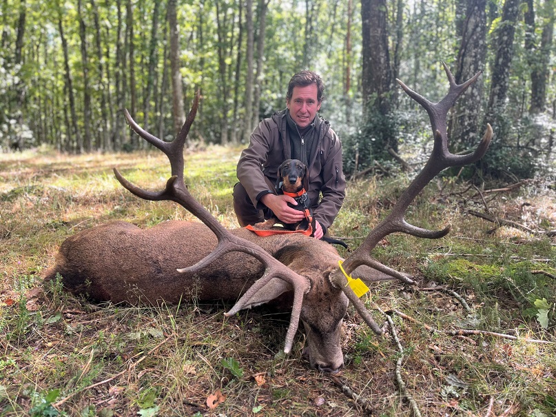 STAG_HUNTING_SPAIN